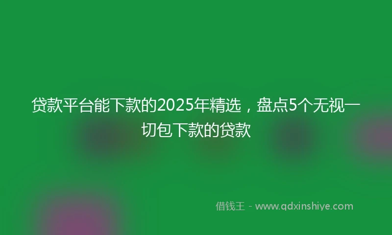 贷款平台能下款的2025年精选，盘点5个无视一切包下款的贷款