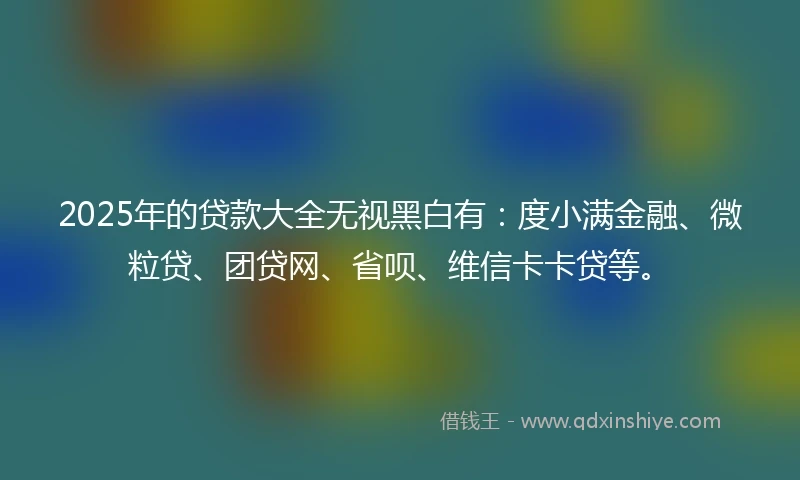 2025年的贷款大全无视黑白有：度小满金融、微粒贷、团贷网、省呗、维信卡卡贷等。