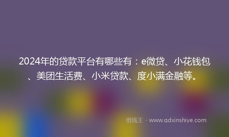 2024年的贷款平台有哪些有：e微贷、小花钱包、美团生活费、小米贷款、度小满金融等。
