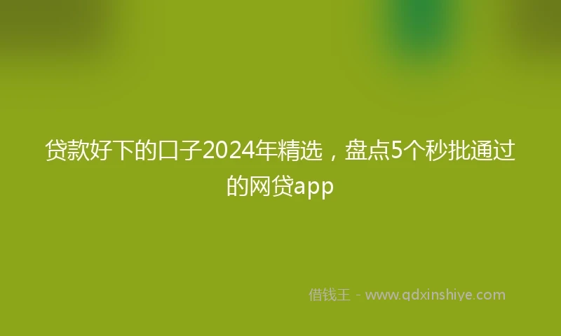 贷款好下的口子2024年精选，盘点5个秒批通过的网贷app