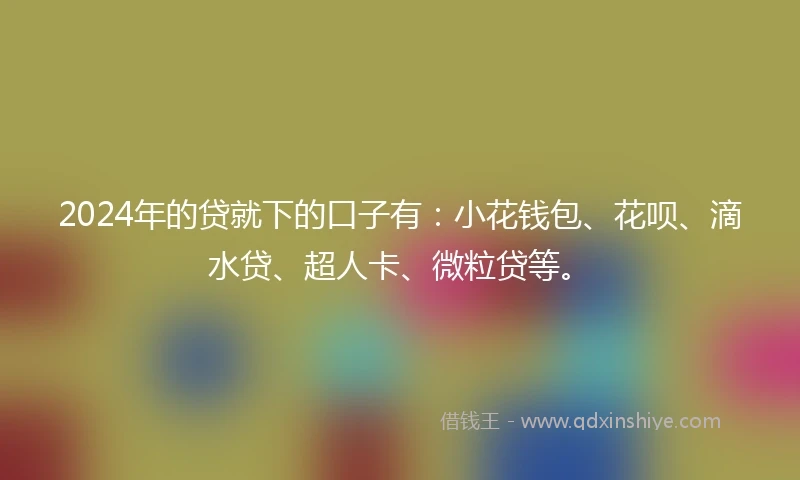 2024年的贷就下的口子有：小花钱包、花呗、滴水贷、超人卡、微粒贷等。