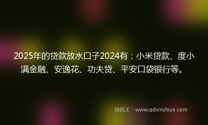 2025年的贷款放水口子2024有：小米贷款、度小满金融、安逸花、功夫贷、平安口袋银行等。