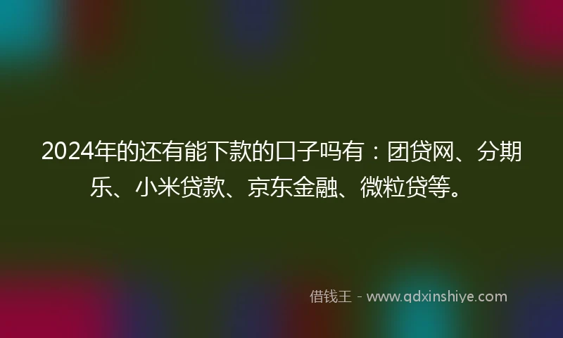 2024年的还有能下款的口子吗有：团贷网、分期乐、小米贷款、京东金融、微粒贷等。