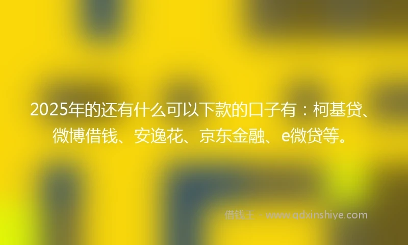2025年的还有什么可以下款的口子有：柯基贷、微博借钱、安逸花、京东金融、e微贷等。
