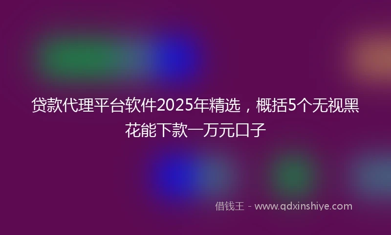 贷款代理平台软件2025年精选，概括5个无视黑花能下款一万元口子