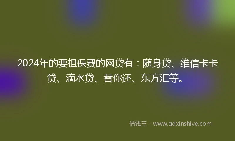 2024年的要担保费的网贷有：随身贷、维信卡卡贷、滴水贷、替你还、东方汇等。
