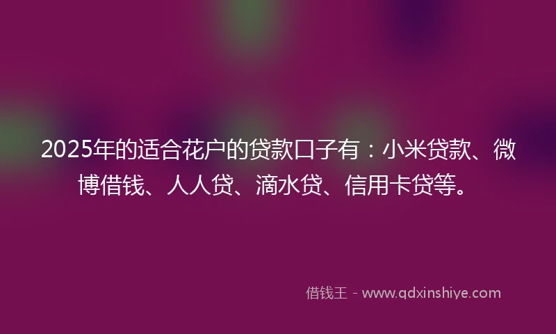 2025年的适合花户的贷款口子有：小米贷款、微博借钱、人人贷、滴水贷、信用卡贷等。
