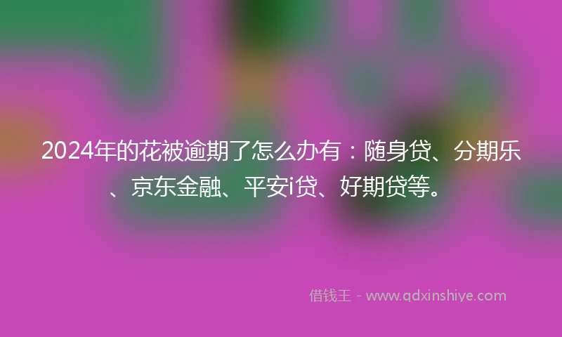 2024年的花被逾期了怎么办有：随身贷、分期乐、京东金融、平安i贷、好期贷等。