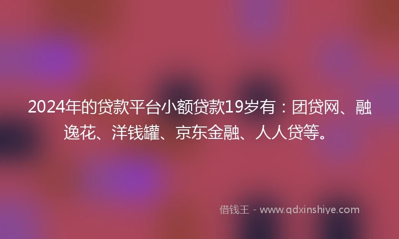 2024年的贷款平台小额贷款19岁有：团贷网、融逸花、洋钱罐、京东金融、人人贷等。