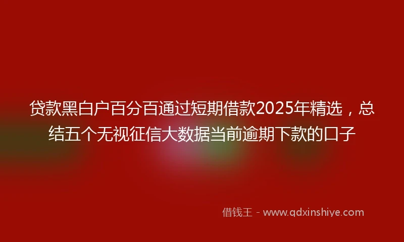 贷款黑白户百分百通过短期借款2025年精选，总结五个无视征信大数据当前逾期下款的口子