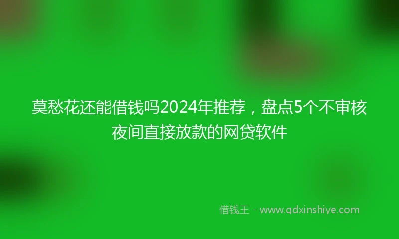 莫愁花还能借钱吗2024年推荐，盘点5个不审核夜间直接放款的网贷软件
