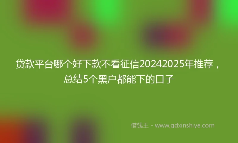 贷款平台哪个好下款不看征信20242025年推荐，总结5个黑户都能下的口子