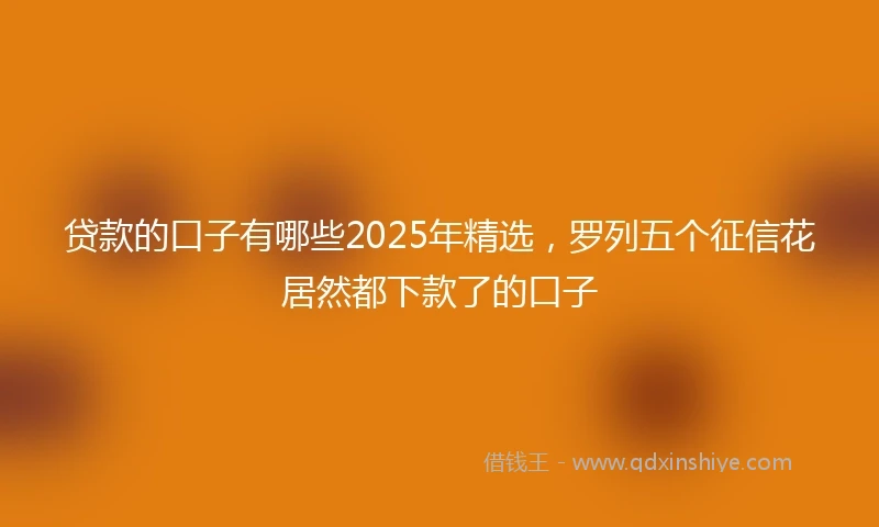 贷款的口子有哪些2025年精选，罗列五个征信花居然都下款了的口子