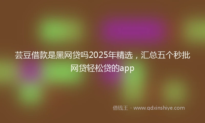 芸豆借款是黑网贷吗2025年精选，汇总五个秒批网贷轻松贷的app