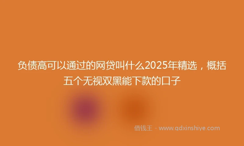 负债高可以通过的网贷叫什么2025年精选，概括五个无视双黑能下款的口子