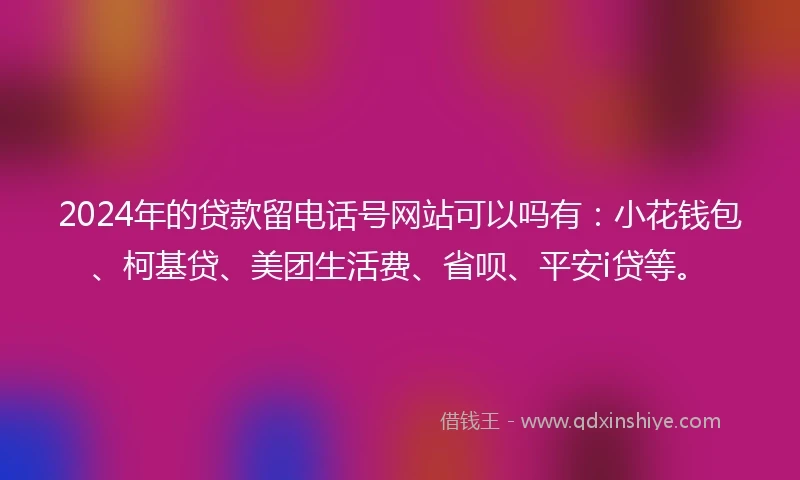 2024年的贷款留电话号网站可以吗有：小花钱包、柯基贷、美团生活费、省呗、平安i贷等。