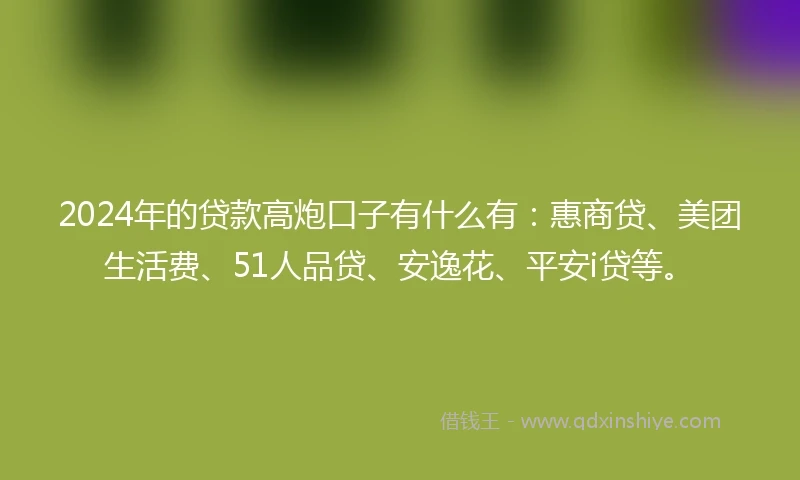 2024年的贷款高炮口子有什么有：惠商贷、美团生活费、51人品贷、安逸花、平安i贷等。