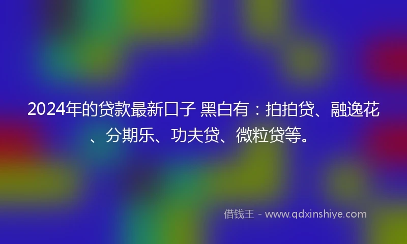 2024年的贷款最新口子 黑白有：拍拍贷、融逸花、分期乐、功夫贷、微粒贷等。
