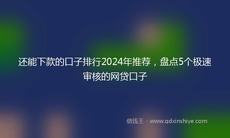 还能下款的口子排行2024年推荐，盘点5个极速审核的网贷口子