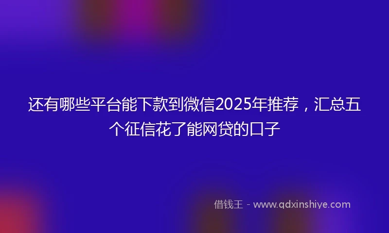 还有哪些平台能下款到微信2025年推荐，汇总五个征信花了能网贷的口子
