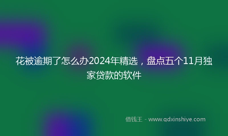 花被逾期了怎么办2024年精选，盘点五个11月独家贷款的软件