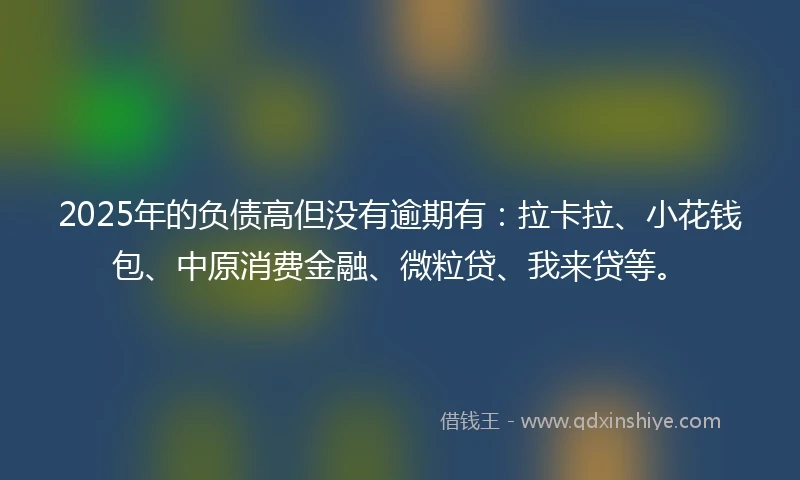 2025年的负债高但没有逾期有：拉卡拉、小花钱包、中原消费金融、微粒贷、我来贷等。