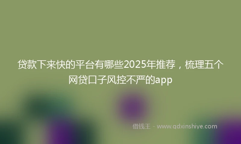 贷款下来快的平台有哪些2025年推荐，梳理五个网贷口子风控不严的app