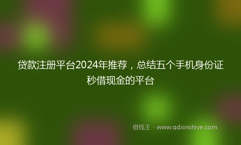 贷款注册平台2024年推荐，总结五个手机身份证秒借现金的平台