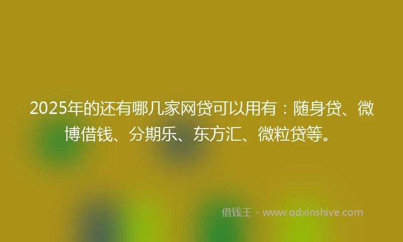 2025年的还有哪几家网贷可以用有：随身贷、微博借钱、分期乐、东方汇、微粒贷等。