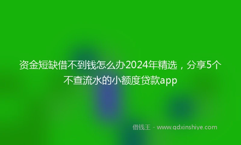 资金短缺借不到钱怎么办2024年精选，分享5个不查流水的小额度贷款app