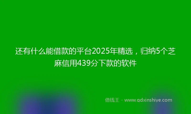 还有什么能借款的平台2025年精选，归纳5个芝麻信用439分下款的软件