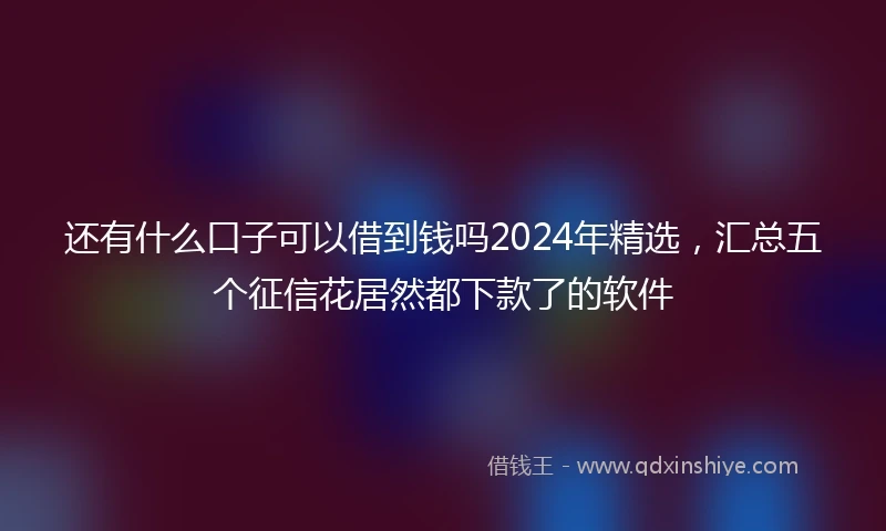 还有什么口子可以借到钱吗2024年精选，汇总五个征信花居然都下款了的软件