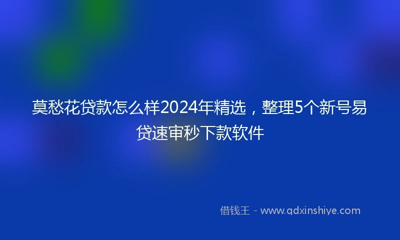 莫愁花贷款怎么样2024年精选，整理5个新号易贷速审秒下款软件
