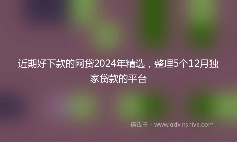 近期好下款的网贷2024年精选，整理5个12月独家贷款的平台