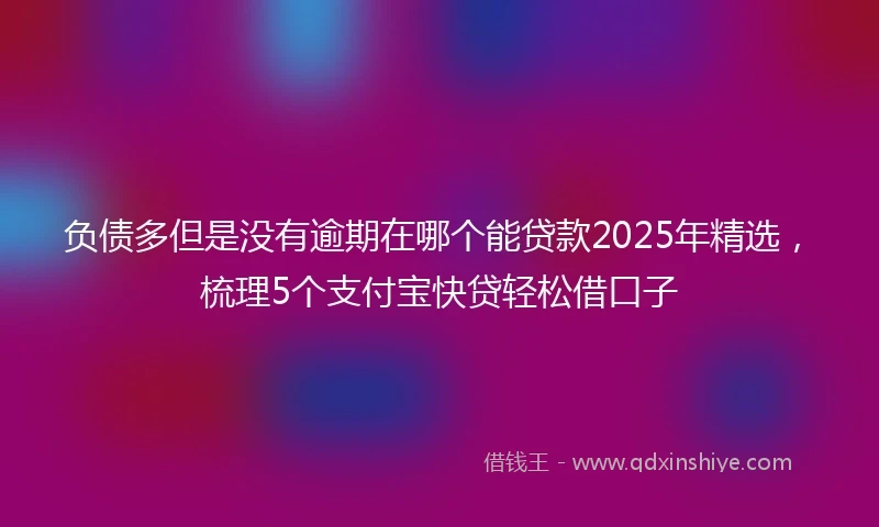 负债多但是没有逾期在哪个能贷款2025年精选，梳理5个支付宝快贷轻松借口子
