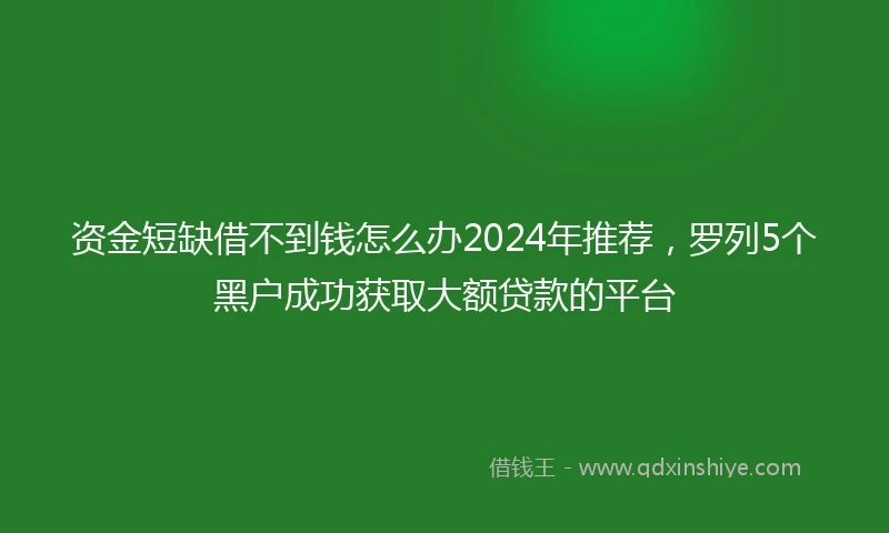 资金短缺借不到钱怎么办2024年推荐，罗列5个黑户成功获取大额贷款的平台