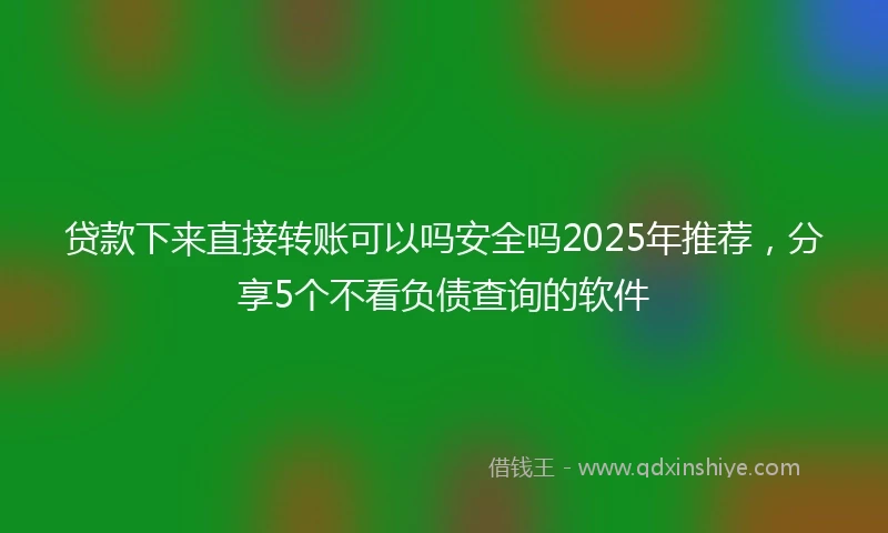 贷款下来直接转账可以吗安全吗2025年推荐，分享5个不看负债查询的软件