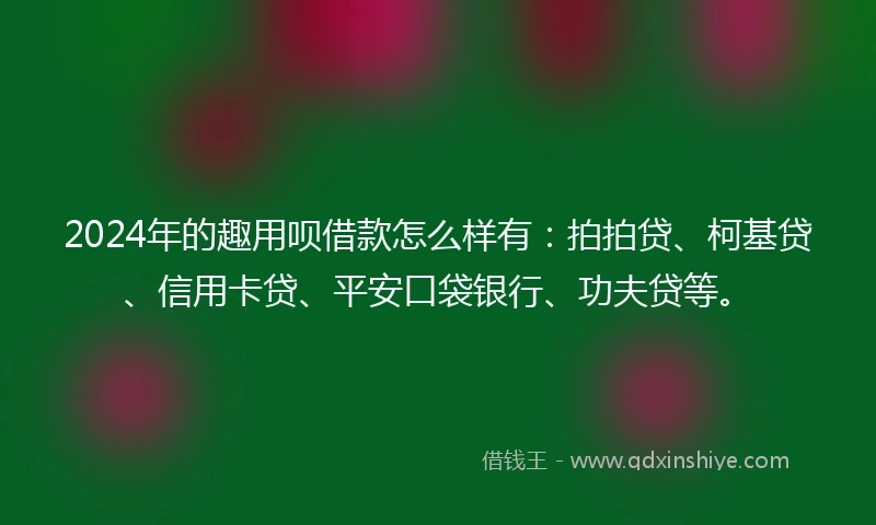 2024年的趣用呗借款怎么样有：拍拍贷、柯基贷、信用卡贷、平安口袋银行、功夫贷等。