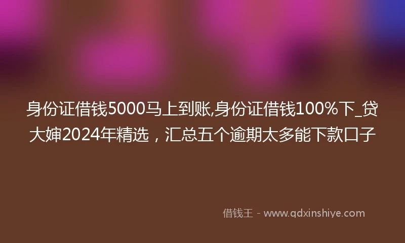 身份证借钱5000马上到账,身份证借钱100%下_贷大婶2024年精选，汇总五个逾期太多能下款口子
