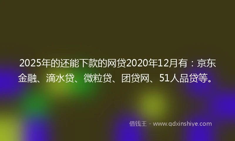 2025年的还能下款的网贷2020年12月有：京东金融、滴水贷、微粒贷、团贷网、51人品贷等。