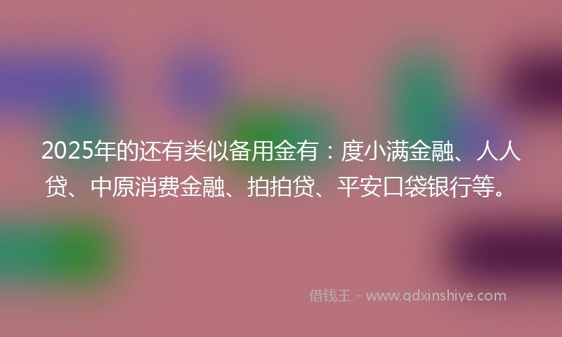 2025年的还有类似备用金有：度小满金融、人人贷、中原消费金融、拍拍贷、平安口袋银行等。