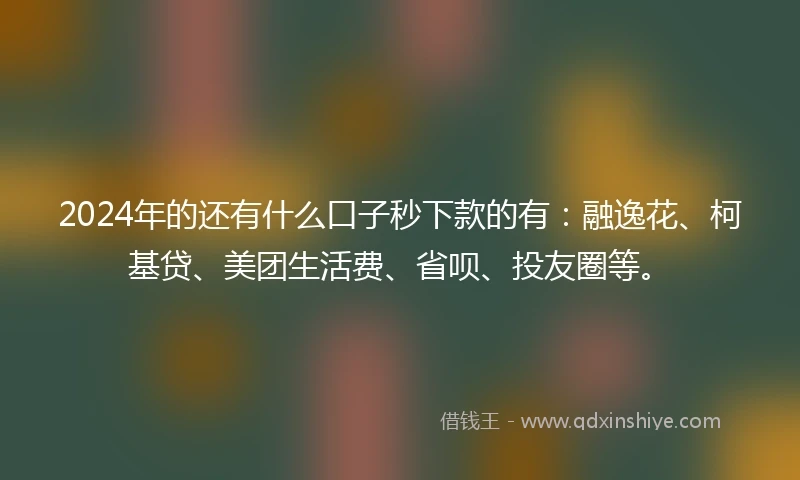 2024年的还有什么口子秒下款的有：融逸花、柯基贷、美团生活费、省呗、投友圈等。