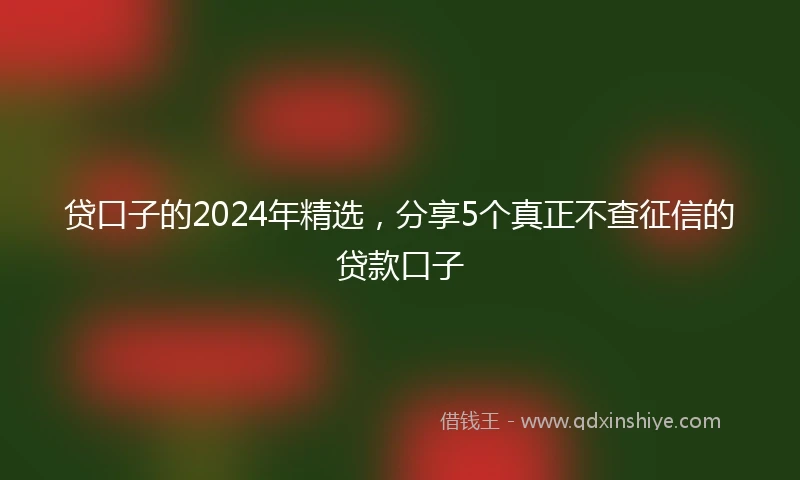 贷口子的2024年精选，分享5个真正不查征信的贷款口子