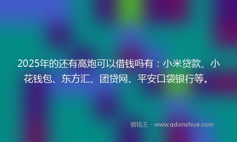 2025年的还有高炮可以借钱吗有：小米贷款、小花钱包、东方汇、团贷网、平安口袋银行等。