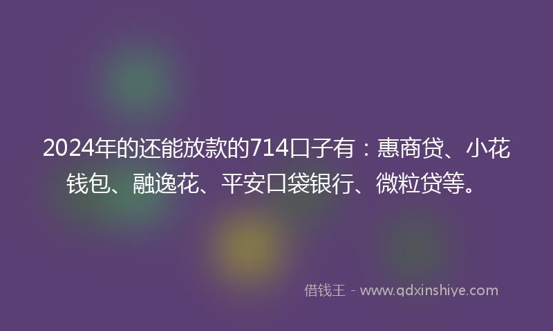 2024年的还能放款的714口子有：惠商贷、小花钱包、融逸花、平安口袋银行、微粒贷等。