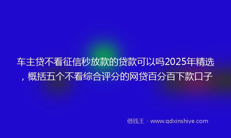 车主贷不看征信秒放款的贷款可以吗2025年精选，概括五个不看综合评分的网贷百分百下款口子