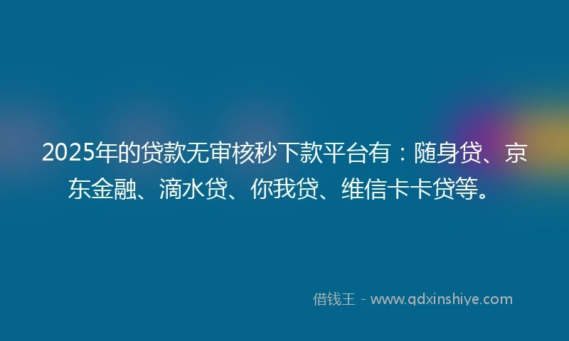 2025年的贷款无审核秒下款平台有：随身贷、京东金融、滴水贷、你我贷、维信卡卡贷等。
