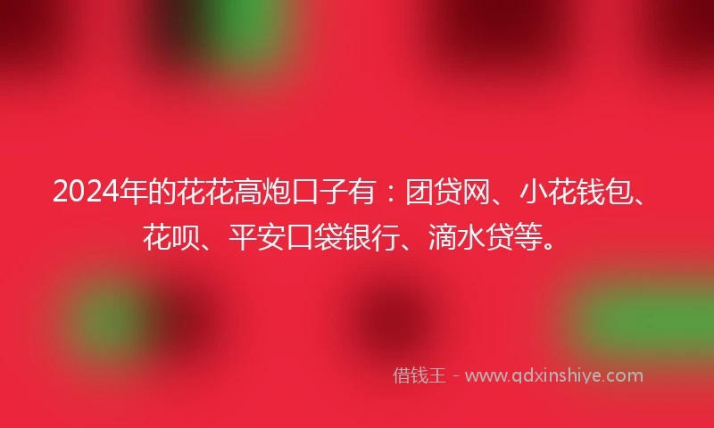 2024年的花花高炮口子有：团贷网、小花钱包、花呗、平安口袋银行、滴水贷等。