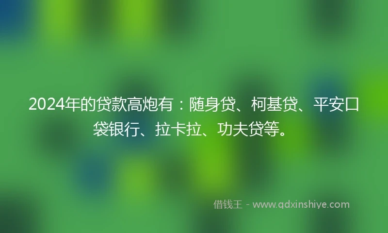 2024年的贷款高炮有：随身贷、柯基贷、平安口袋银行、拉卡拉、功夫贷等。