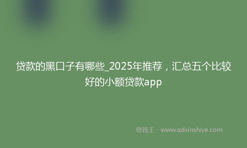贷款的黑口子有哪些_2025年推荐，汇总五个比较好的小额贷款app